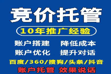 竞价广告案例分享：XX电商平台的成功秘诀